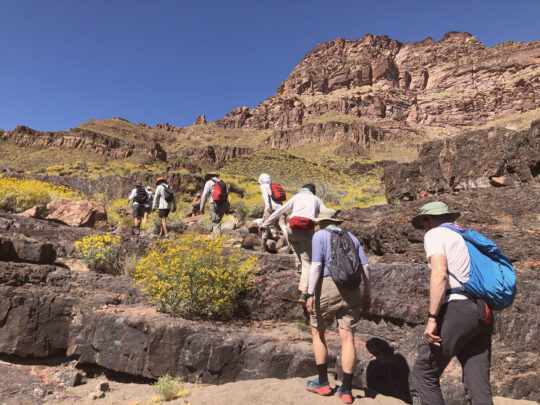 People walking on a trail with small backpacks.