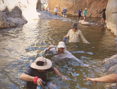 Guests wading in water.