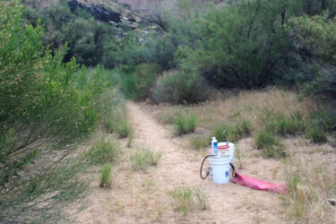 Hand wash station for toilet