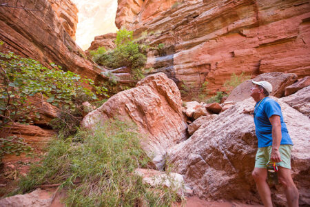 Hiker on a Grand Canyon trail