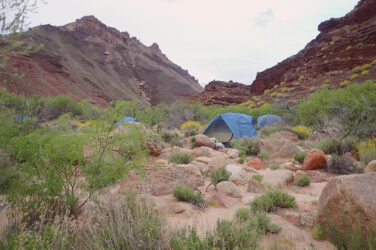 Tent in the canyon