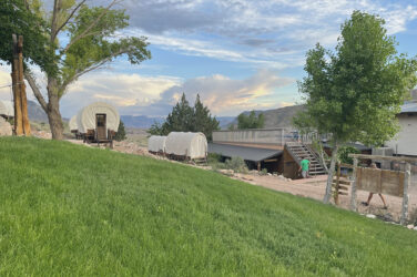 Green grass with covered wagons in the background at Bar 10 Ranch.